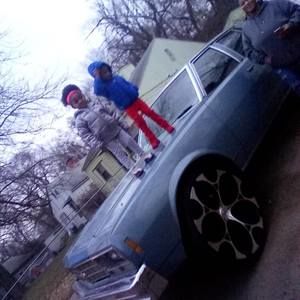 Meet your Posher, Bruce